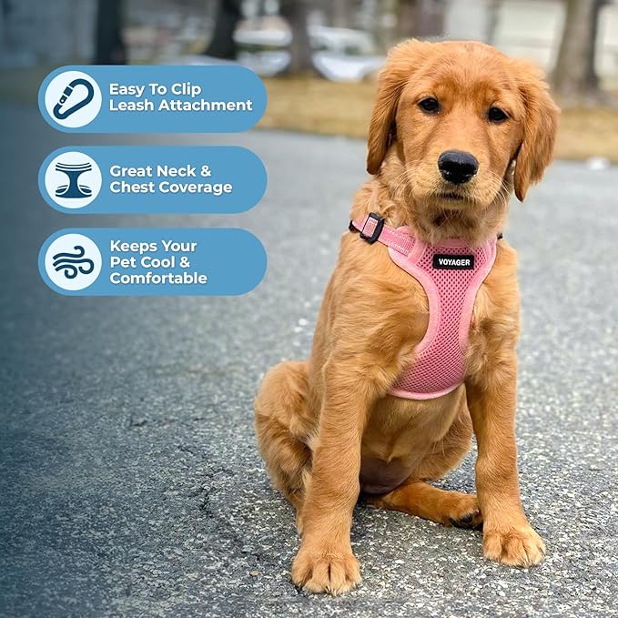 Best Pet Supplies Voyager Mesh Dog Breathable Harness Reflective Stitching, All Weather Adjustable for Walking Training, or Running - Heavy Duty & Durable, Harness Leash Set (Pink), L
