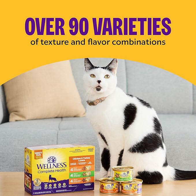 Wellness Complete Health Pate Adult Wet Cat Food, Natural, Protein-Rich, Grain Free, 5.5 Ounce, 24 Pack, (Chicken)