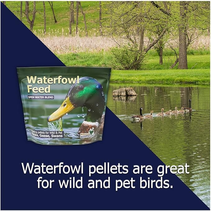 Waterfowl Feed Open Water Diet 40 lb | for Feeding Ducks Geese Swans | Floating Pellets with Niacin for Ducks