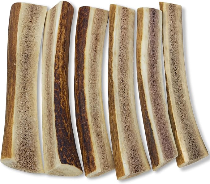 WhiteTail Naturals Premium Split Elk Antlers for Dogs (6 Pack- Small to Medium) All Natural Dog Chews | Naturally Shed, Antler Bone Half-Cut