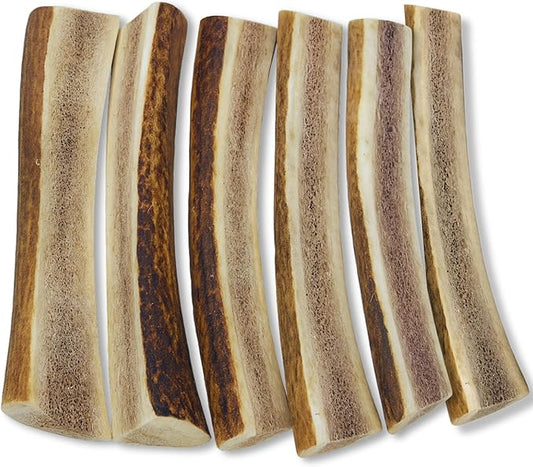 WhiteTail Naturals Premium Split Elk Antlers for Dogs (6 Pack- Small to Medium) All Natural Dog Chews | Naturally Shed, Antler Bone Half-Cut