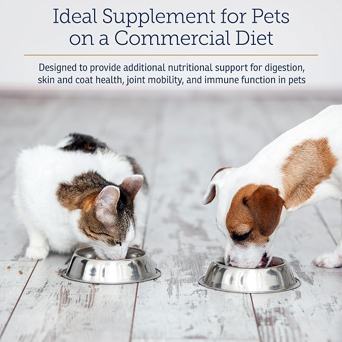 Rx Vitamins Nutritional Support - A Combination of Essential Vitamins, Minerals, & Other Beneficial Compounds for Dogs and Cats - 9.07oz