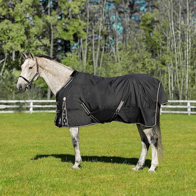 Equinavia Norse No Fill Horse Rain Blanket (0g) | Waterproof Lightweight Turnout Sheet - Black - 66 in - Black - 69 in