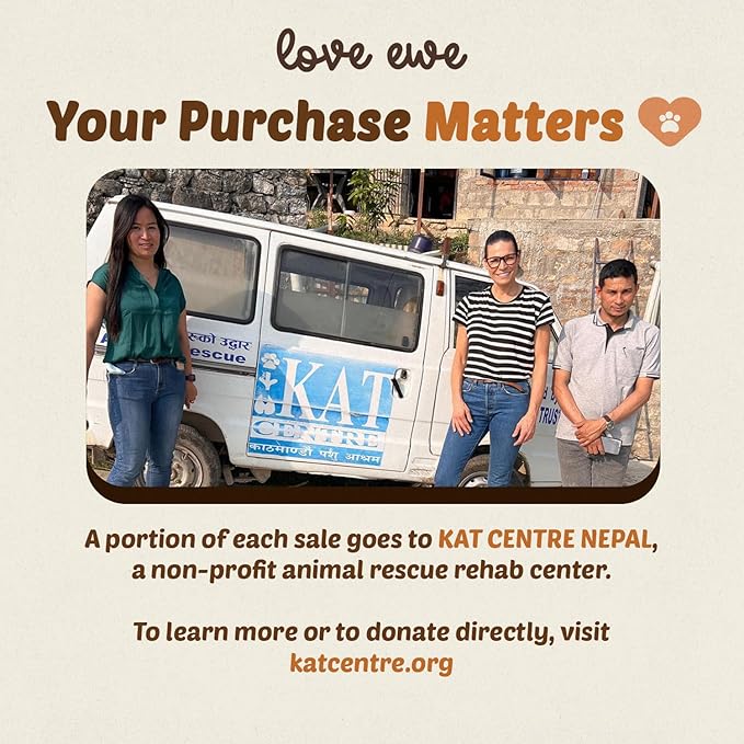 Hustle & Blush Love Ewe Felted Cat Toys 3 Pack - 2 Inch Fish & Bird Hand Made Cute & Fun Design Kitten Wool Felt Balls for Indoor Play & Exercise - 100% New Zealand Handmade - Holiday Pet