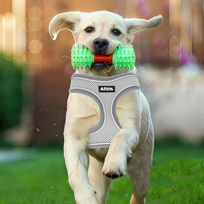 AIITLE Easy Walk Dog Harness, Soft No-Pull Design, Breathable 3-Layer Mesh for Medium Dogs, Adjustable Fit for Hiking, Training – Fits Pugs, Bichon Frise (XL, Grey)