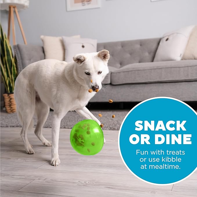 Outward Hound Large Snoop Interactive Treat Dispensing Dog Toy, Puzzle Ball Slow Feeder for Medium to Large Dogs, Mint-Scented for Mental Stimulation & Boredom Relief, BPA-Free, 5-Inch, Green