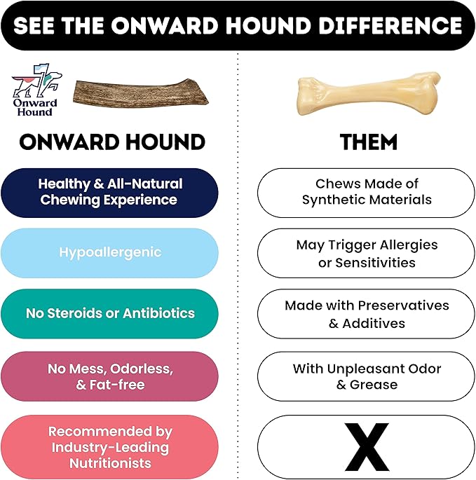 Onward Hound Elk Antlers for Dogs, 6"+ Medium 1-Pack, Grade A Long Lasting Chew for Aggressive Chewers, Premium USA Naturally Shed Antler - Healthy, No Odor, Durable Dog Chew for 15-35lb Breeds