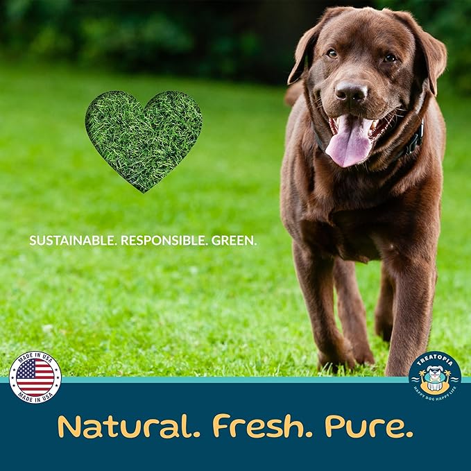 TREATOPIA Lamb Lung Filet Dog Treats, 2 LB Bag - All-Natural, Sustainable, Healthy, High Protein, Hand-Trimmed, Slow-Roasted, Made in The USA, Nutritious, No Additives, No Fillers