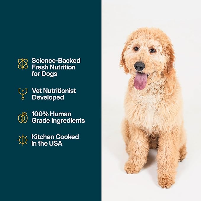 JustFoodForDogs JustFresh Wet Dog Food, Fresh Pet Meals and Toppers with No Preservatives, Resealable Package, Human Grade, Home-Cooked Turkey, 12 oz - 7 Pack