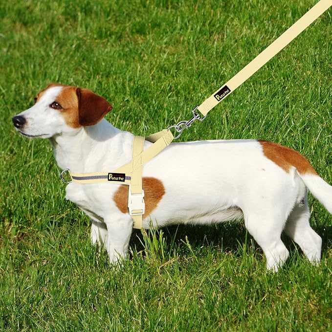 Plutus Pet Cotton Dog Harness and Leash Set, Reflective and Soft Padded, Quick Fit Vest Harness, for Small, Medium and Large Dogs, Light Yellow, S