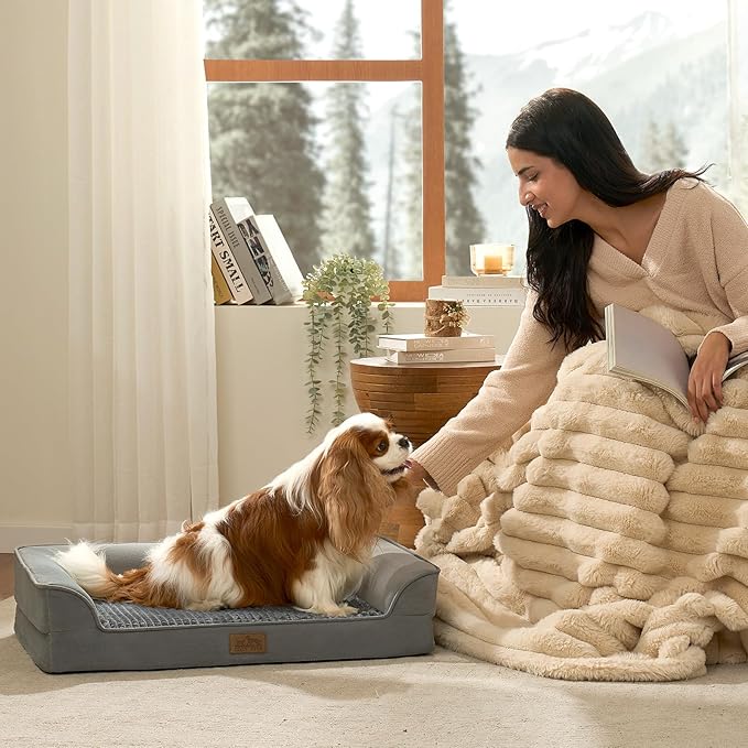 Orthopedic Dog Bed for Medium Size Dogs, Bolster Pet Couch with Waterproof Lining, Egg Crate Foam Sofa for Pets Up to 30 lbs, U-Shaped, 30x20x6.5 inch, Grey