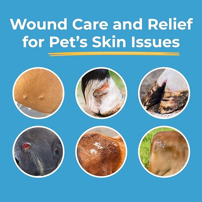 Hot Spot Gel for Dogs and Cats - Dog Wound & Pet Skin Irritation Solution for Birds, Hamsters, Emergency Kit, Hydrogel Ointment for Cuts, Burns, Itch, Pet Restoration & Wellness - 4.0 Oz