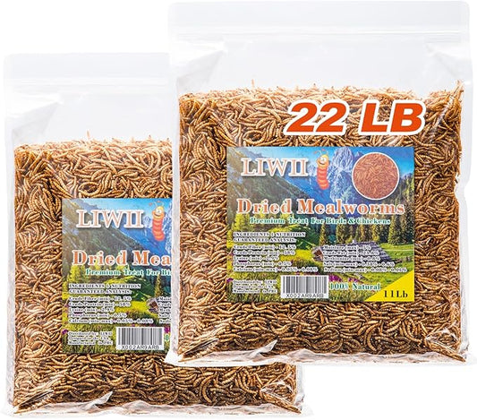 Dried Mealworms - 22 LBS- 100% Natural Non GMO High Protein - Bulk Mealworms for Wild Birds, Chicken Treats, Hamster, Gecko, Turtle, Lizard Food