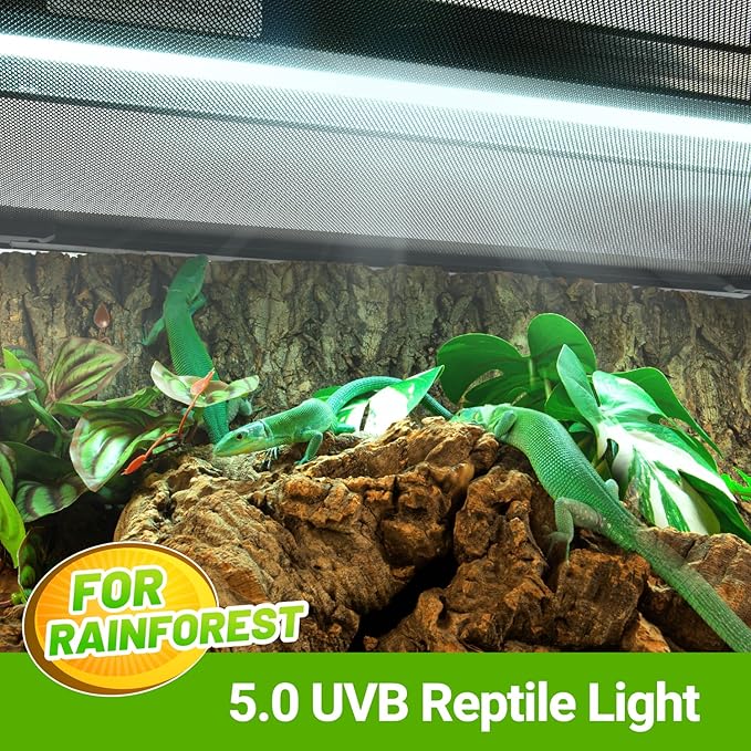 Oiibo T5 HO Reptile Light Fixture UVB Lighting Combo Kit, Reptiles Terrarium Lamp Hood Light Fixture Include UVB 5.0 Rainforest Reptile Light for Chameleon Arboreal Geckos Lizard (24W)