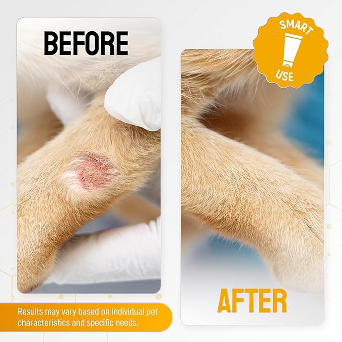 Dog Wound Care with Honey & Colloidal Silver for Scratches & Skin Irritations – Horse & Dog Hot Spot Treatment Gel Works as Honey Rapid Wound Repair – for All Pet Ages & Breeds – 2-Oz Tube