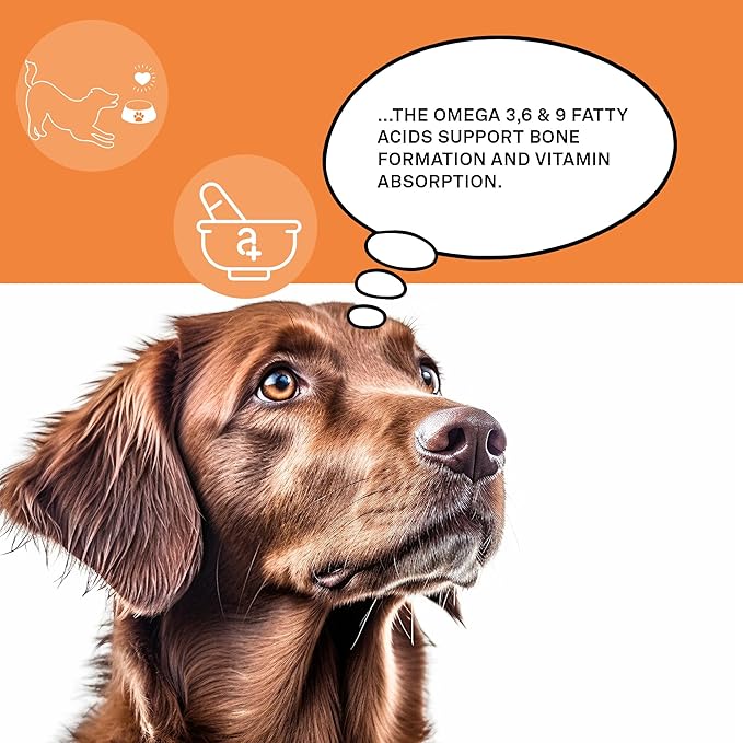animaux - Omega Complete for Dogs Fish Oil Tablets, Omega 3,6 & 9 Fatty acids to Support Vitality, Bone Structure, Barf Supplement, Salmon Oil for Skin & Coat, 50 chewable Tablets, 100 Days Supply