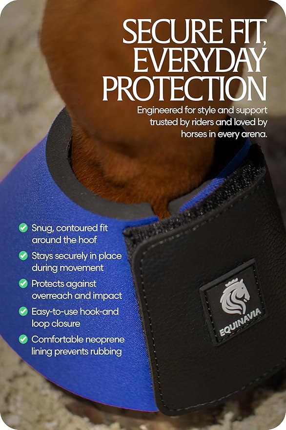 Equinavia Toki Bell Boots for Horses | Neoprene Overreach Boots - Royal Blue - M