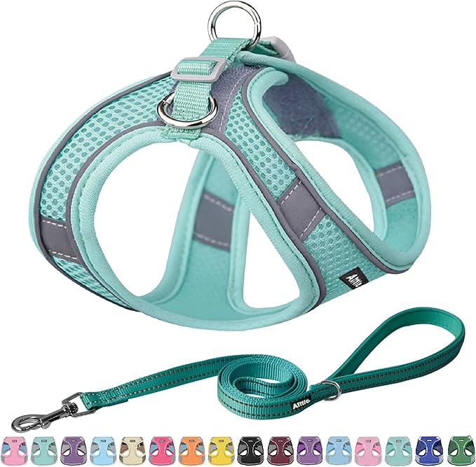 AIITLE Easy Walk Dog Harness and Leash Set - Pet Supply No Pull, Step in Adjustable Pet Harnesses with Padded Vest for Summer, No Choke Over, Easy to Put on Medium Dogs Pure Turquoise L