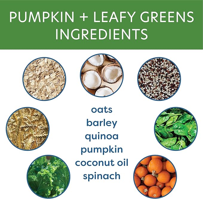 Body and Soul Pumpkin + Leafy Greens Crunchy Dog Treat - Superfood Biscuits Baked with Oats Barley & Quinoa - All-Natural Plant Based Clean Protein, No Additives or Fillers - Made in USA 2 Pack (20oz)