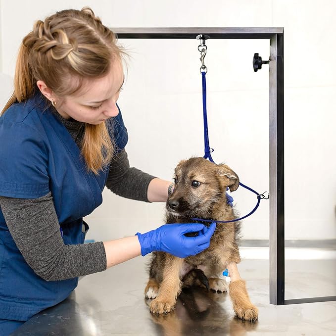 Jelly Pet Grooming Loop for Dogs | Groomers Helper | BioThane Material is Easy to Clean, Waterproof & Durable Noose Loop | Fits Most Pet Grooming Tubs/Tables/ 3/8” x 24” W/Ring Teal | Made in The USA