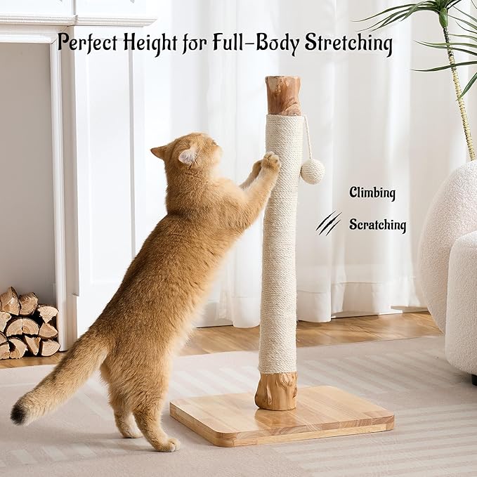 29" Tall Cat Scratching Post with Sisal Scratcher, Extra-Stable & Natural Solid Rubber Wood Base, Hanging Ball Toy for Indoor Cats Adults & Kittens, White