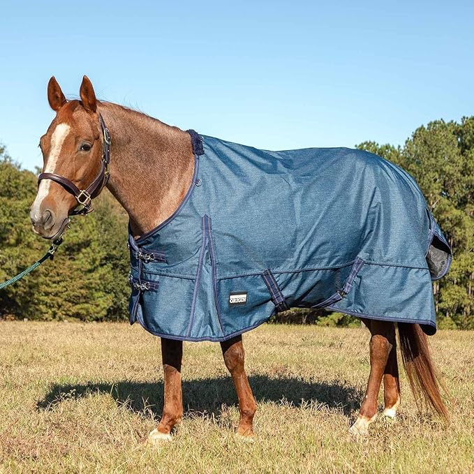 Jeffers Poplar Head 600 Denier Turnout Sheet for Horses, 0g Polyfill, 75"- Waterproof, Windproof Lightweight Horse Blanket, Adjustable Chest Belly Straps, Tail Flap, Stable Blanket - Blue Jean Baby