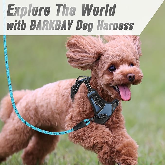 BARKBAY No Pull Dog Harness Front Clip Heavy Duty Reflective Easy Control Handle for Large Dog Walking(Navy,XS)