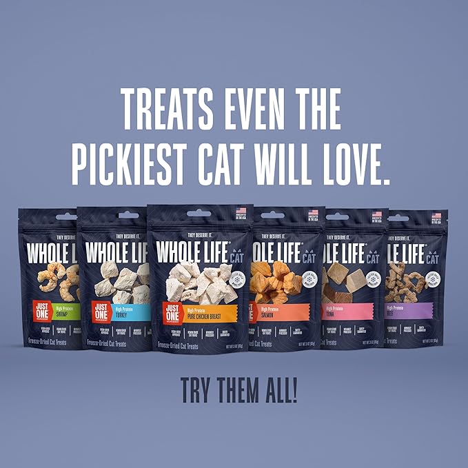 Whole Life Cat Just One Salmon Freeze Dried Cat Treats - Human Grade High Protein Food, Healthy Training Snacks, Freeze Dried Salmon Food Toppers, USA Made Natural Treats - 1 oz (Pack of 1)