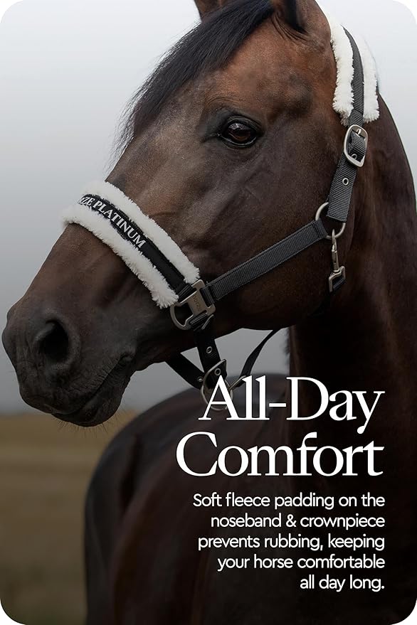 HORZE Howard Soft Fleece Padded Adjustable Polyester Horse Halter - Black - Shetland