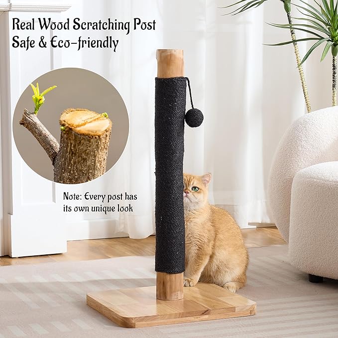 29" Tall Cat Scratching Post with Sisal Scratcher, Extra-Stable & Natural Solid Rubber Wood Base, Hanging Ball Toy for Indoor Cats Adults & Kittens, Black
