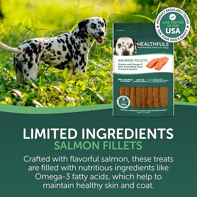 Healthfuls Salmon Fillet Dog Treats, 3.5oz