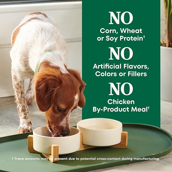 Nutro Natural Choice Chicken & Brown Rice Adult Small Bites Dog Food Recipe, 13 lb. Bag