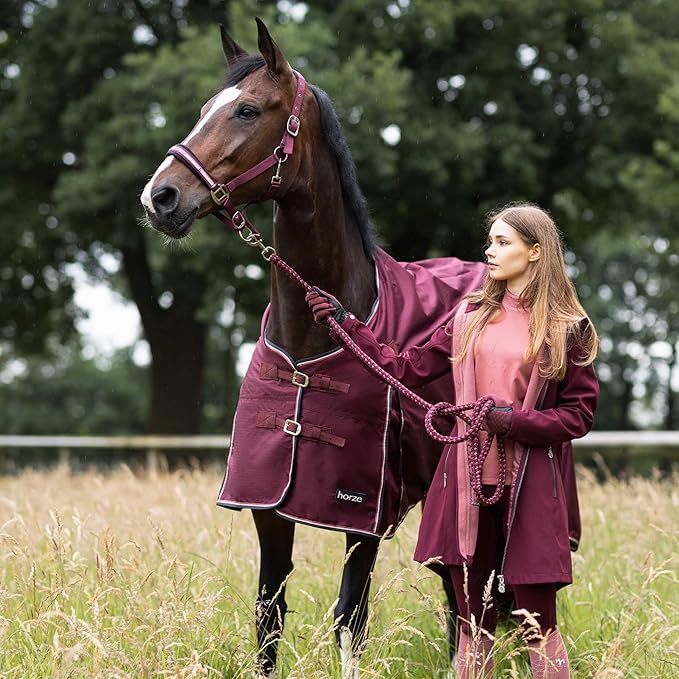 HORZE Glasgow Light Weight Waterproof Turnout Horse Sheet (No Fill) - Burgundy - 69 in