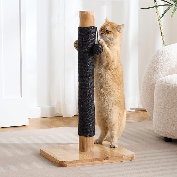 29" Tall Cat Scratching Post with Sisal Scratcher, Extra-Stable & Natural Solid Rubber Wood Base, Hanging Ball Toy for Indoor Cats Adults & Kittens, Black