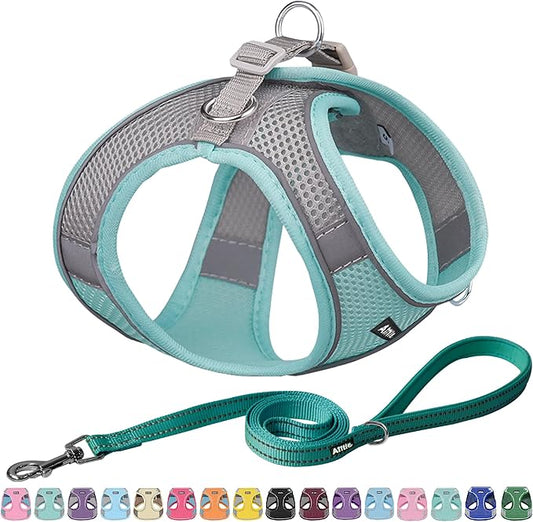 AIITLE Comfortable Dog Harness and Leash Set for Walking - Summer Step in Vest Harness,Reflective Bands, Adjustable No Pull Puppy Essentials, for Small Dogs and House Cats Turquoise XS