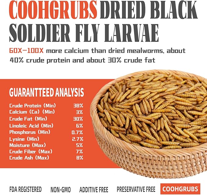 Dried Black Soldier Fly Larvae for Chickens, High-Calcium 85X More Than Mealworms Bird Treats, 2-lb Box