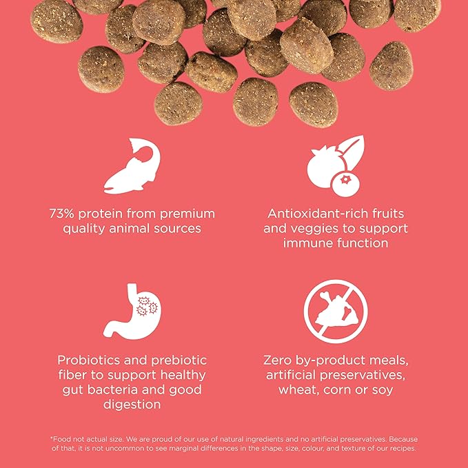 Go! Solutions Carnivore, Grain-Free, Protein Rich Dry Dog Food, Salmon and Cod Recipe, 3.5 lb Bag