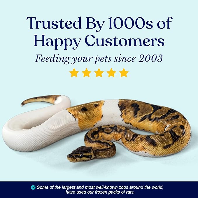 MiceDirect EST. 2003 5 Frozen Rat Medium Feeders Snake Food for Adult Ball Pythons Monitors Lizards (6-8 in)(No Flavors)