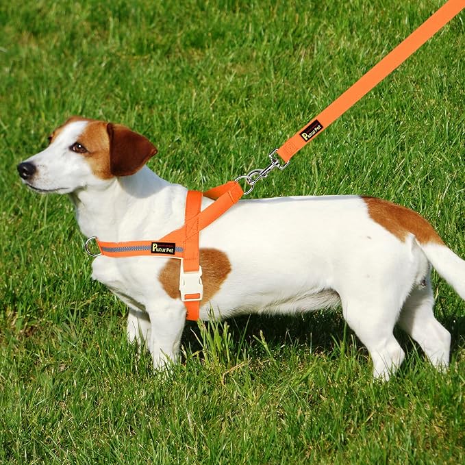 Plutus Pet Cotton Dog Harness and Leash Set, Reflective and Soft Padded, Quick Fit Vest Harness, for Small, Medium and Large Dogs, Orange, XXS