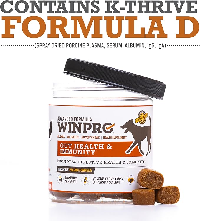 WINPRO Dog Gut Health Supplements – Plasma-Powered Chews for Dog Immune Support & Digestive Health, Fast-Acting Solution for Gut Health for Dogs of All Breeds & Sizes, 60 Count, Made in USA