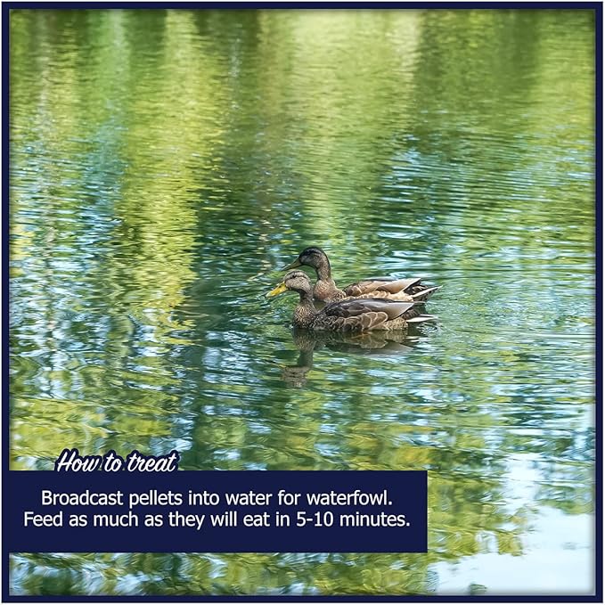 Waterfowl Feed Open Water Diet 40 lb | for Feeding Ducks Geese Swans | Floating Pellets with Niacin for Ducks