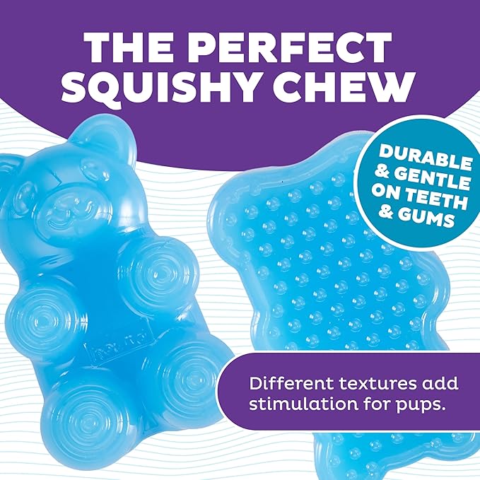Outward Hound Gummiez Bear 2-in-1 Dental Dog Chew Toy and Dog Treat Stuffer Game, Blue Raspberry Scent, Blue