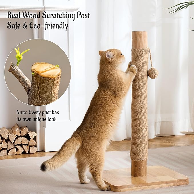 29" Tall Cat Scratching Post with Sisal Scratcher, Extra-Stable & Natural Solid Rubber Wood Base, Hanging Ball Toy for Indoor Cats Adults & Kittens, Beige