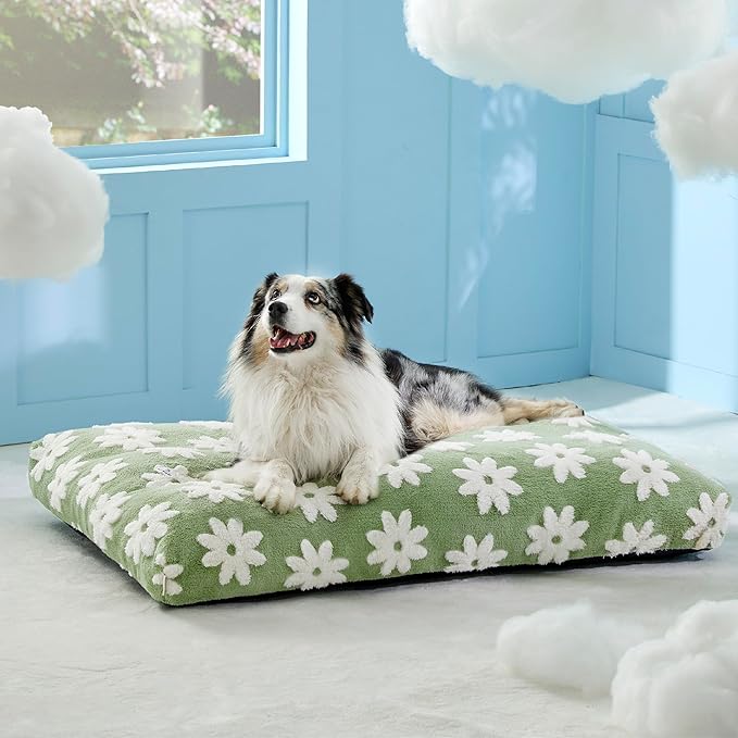 LE SURE XLarge Dog Bed-Thick Shredded Chopped Foam Pet Bed Indoor with Removable Cover, Cute Modern Fuzzy Plush & Anti Slip Bottom, Green