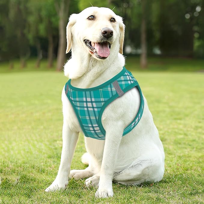 Athena Collection Step-in Dog Harness with 5 ft Leash, Large Dog Harness Leash Set Large No Pull Dog Vest Harness with Reflective Strips Adjustable Velcro, Easy Walk Dog Harness, Green