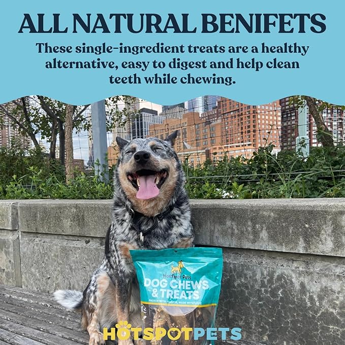 hotspot pets Beef Esophagus Dog Treats (6 INCHES - 25 Count) Grass Fed with No Added Hormone, All Natural Jerky Dog Treats - Chews Rich in Glucosamine & Chondroitin for Joint Health