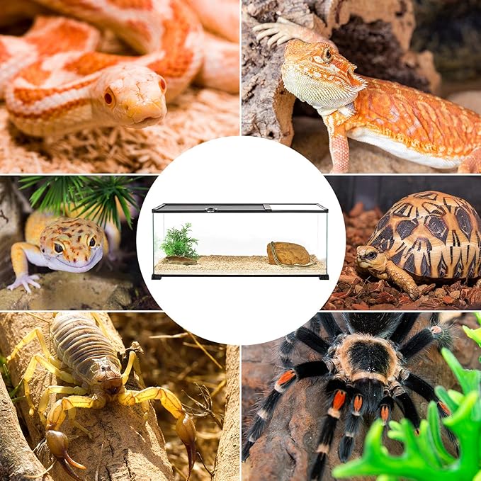 REPTI ZOO 20 Gallon Reptile Glass Terrarium Easy Clean Tank 30" x 12" x 12" Dual Top Sliding Top Cover for Reptile Snake Hamster Hedgehog Small Animals (Knock-Down)