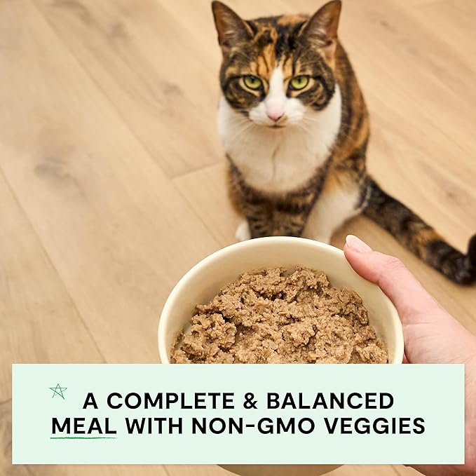 Open Farm Canned Cat Food, Pate for Complete & Balanced Nutrition, Grain Free and Legume-Free Wet Cat Food, Harvest Chicken Recipe, 2.8oz Cans (Case of 18)