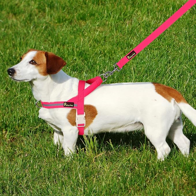 Plutus Pet Cotton Dog Harness and Leash Set, Reflective and Soft Padded, Quick Fit Vest Harness, for Small, Medium and Large Dogs, Hot Pink, XS
