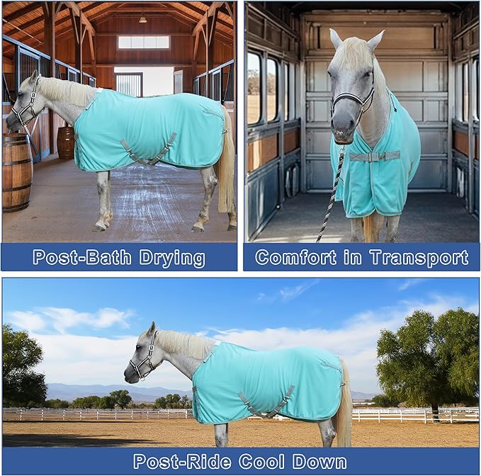 Horse Fleece Cooler, Blanket Liner - 300g Anti-Pilling Fleece, Moisture-Wicking, Cooling & Drying for Post-Workout, Bath & Travel, Prevent Overheating & Chilling Mintgreen 69